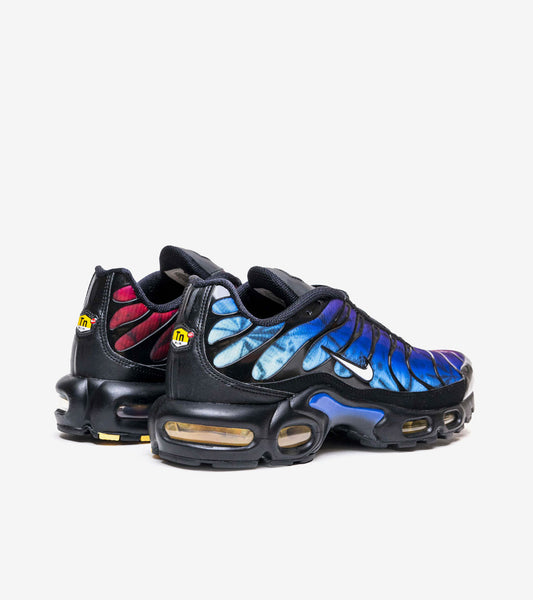 AAOO Air Max Plus