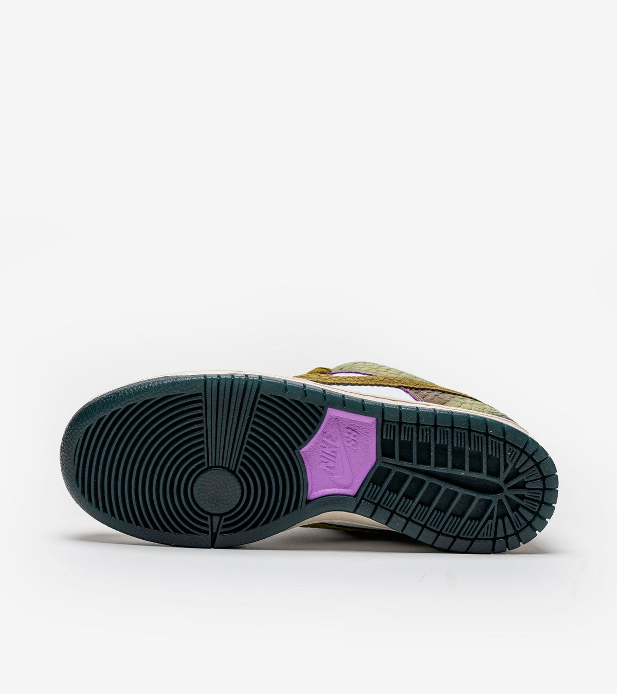 AAOO SB Dunk Low Chameleon