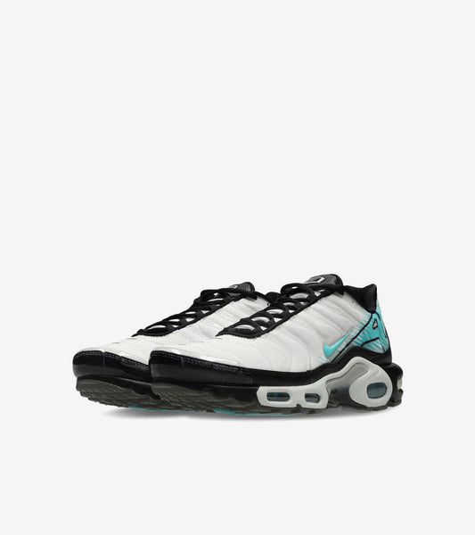 AAOO Air Max Plus Mercurial Vapor