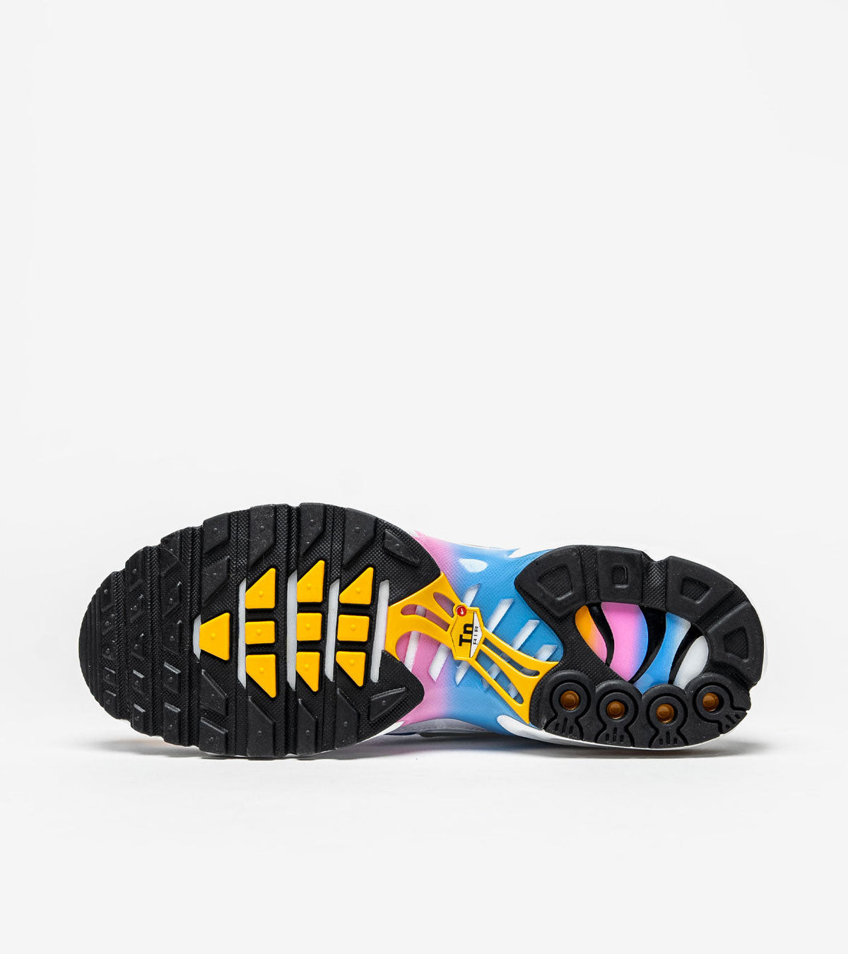 AAOO Air Max Plus Summer Gradient