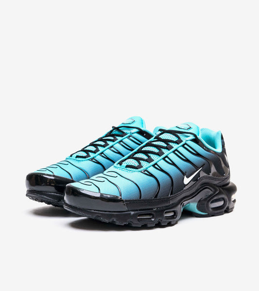 AAOO Air Max Plus Light Retro Blau