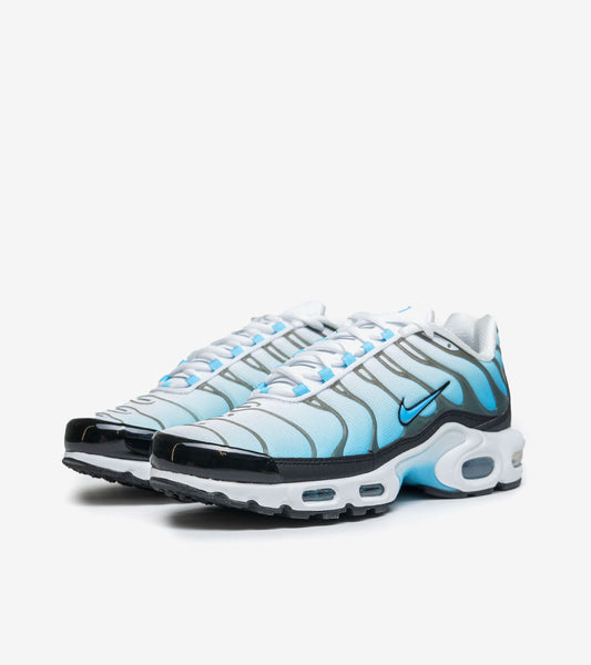 AAOO Air Max Plus Baltic Blue