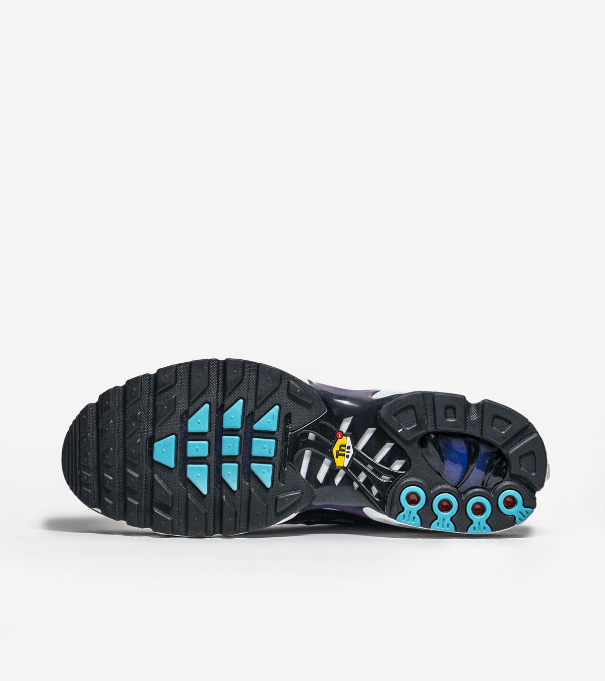 AAOO Air Max Plus Reverse Grape