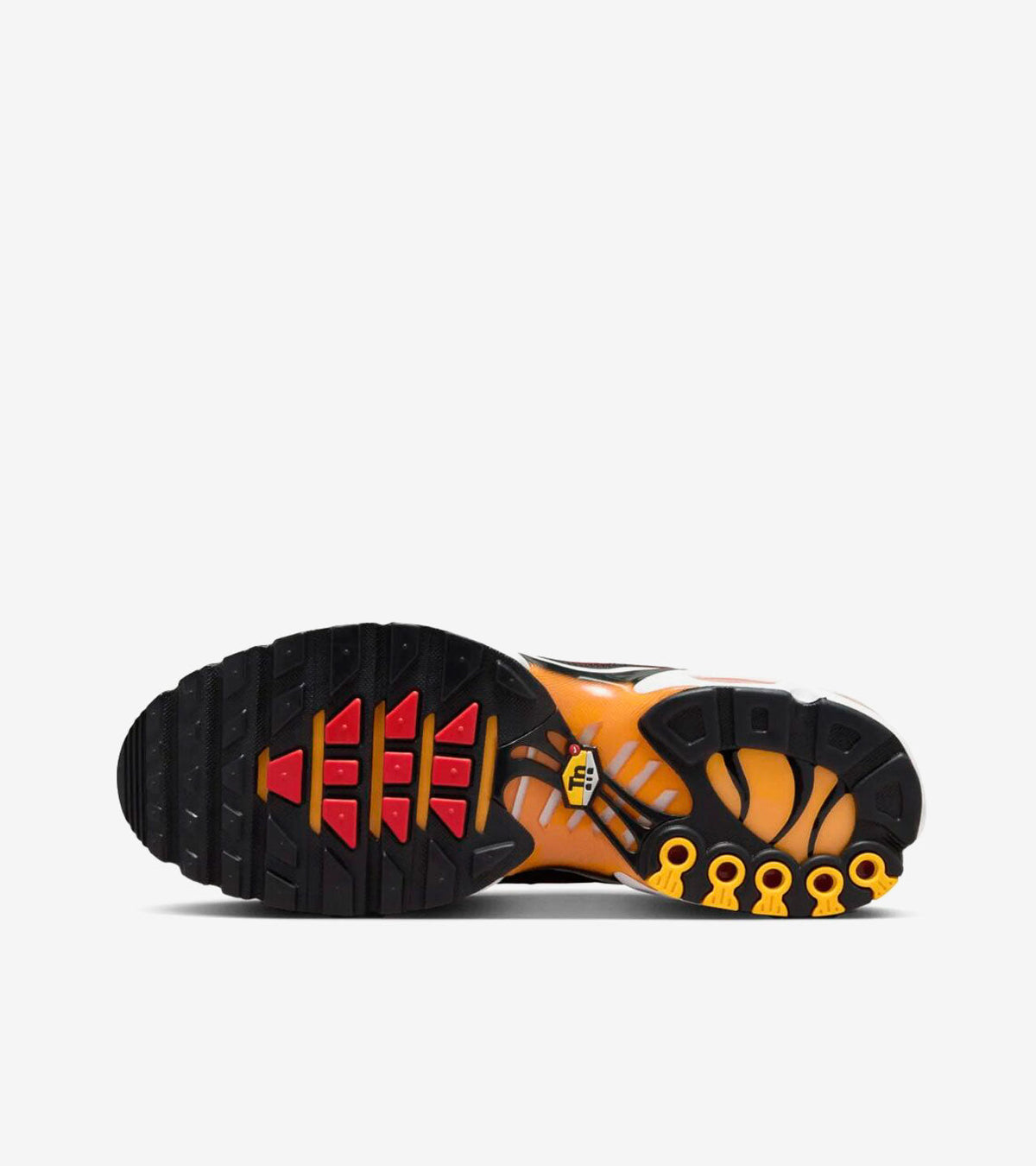 AAOO AIR MAX PLUS SUNSET