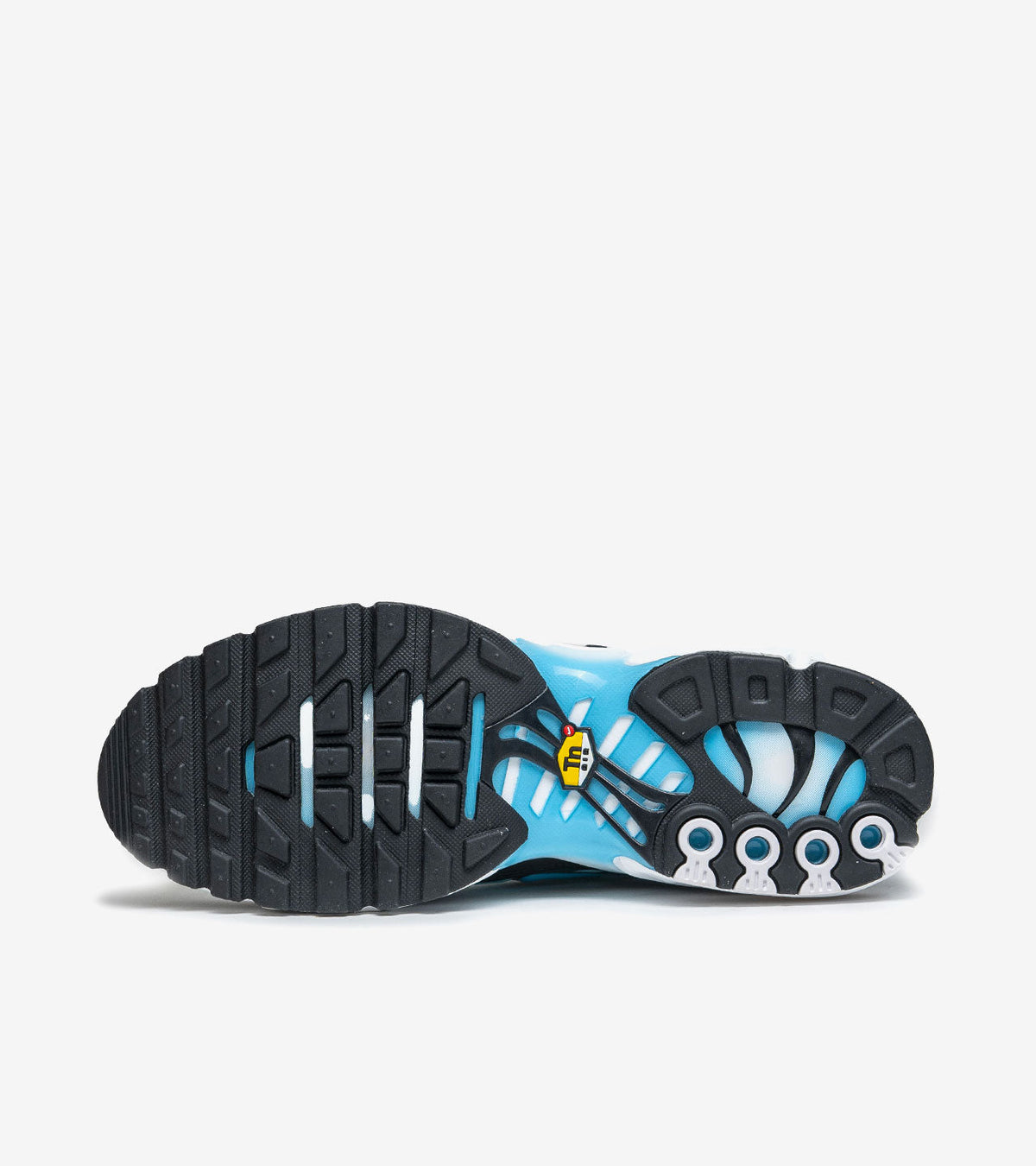 AAOO Air Max Plus Baltic Blue