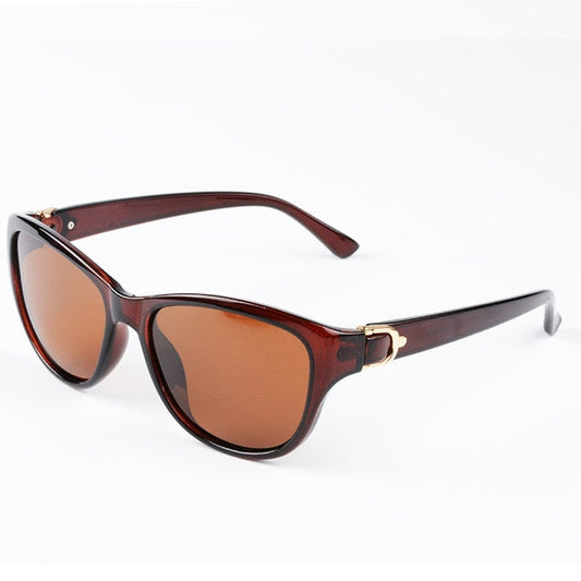 AAOO Polarized Sunglasses 448