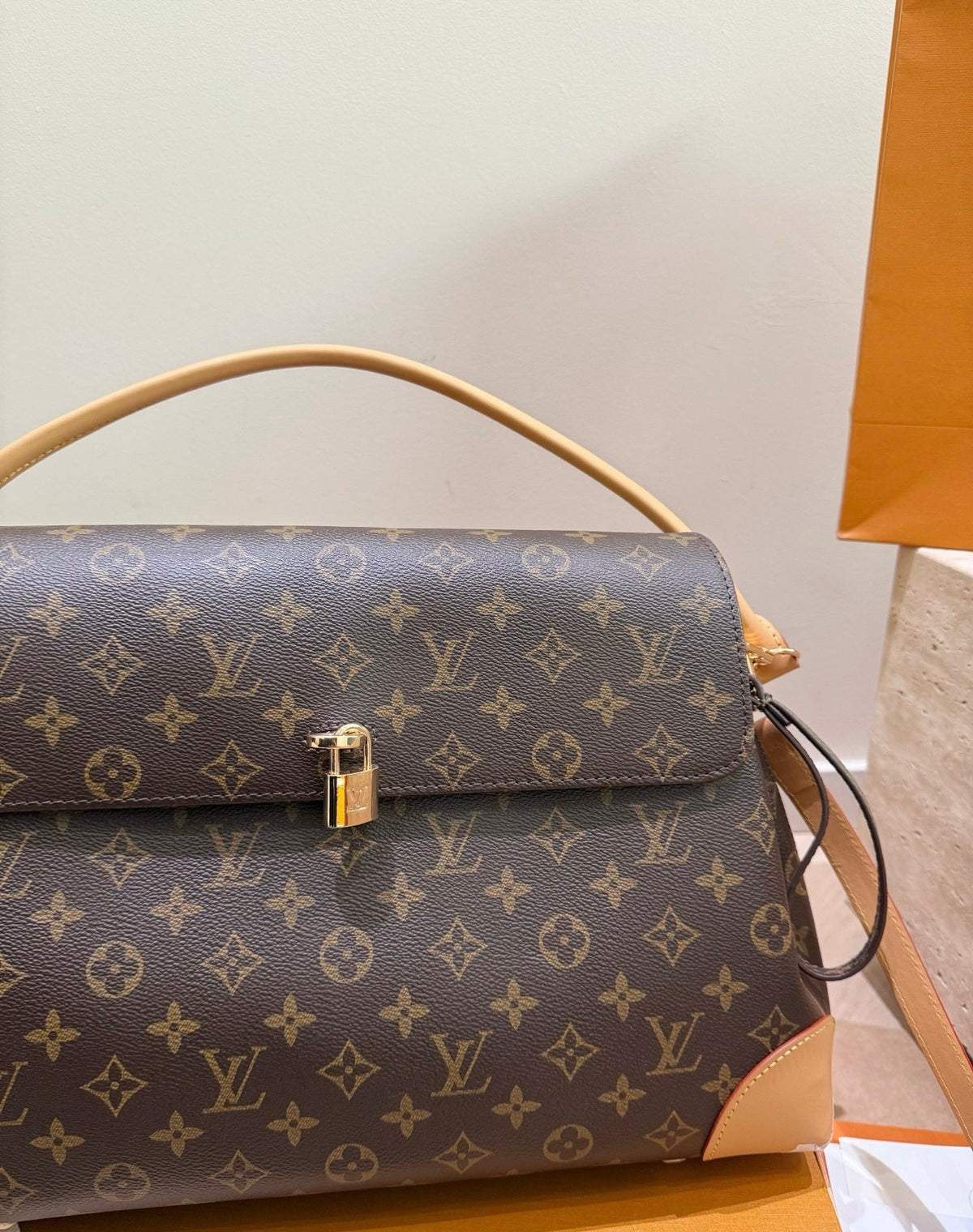 AAOO 2001187 Luxury Bag 38*25cm