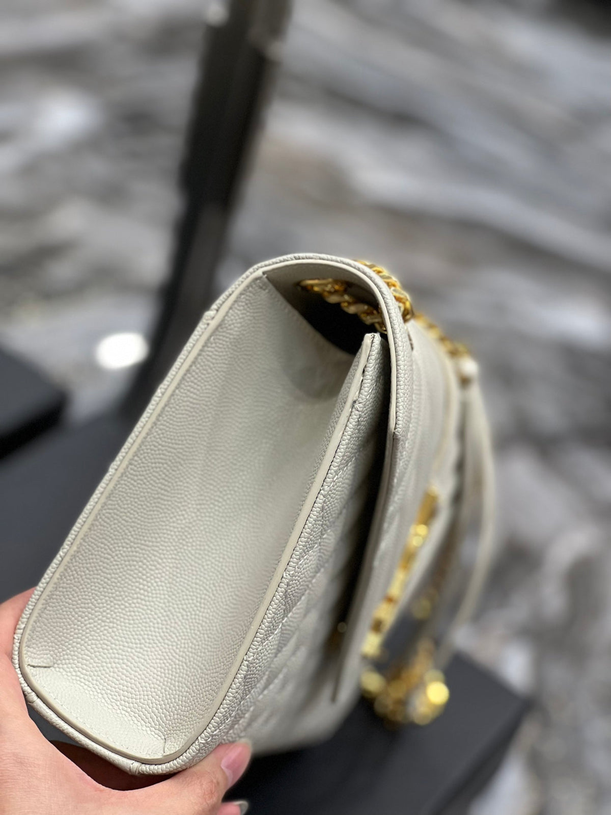 AAOO 100203 Luxury Bag