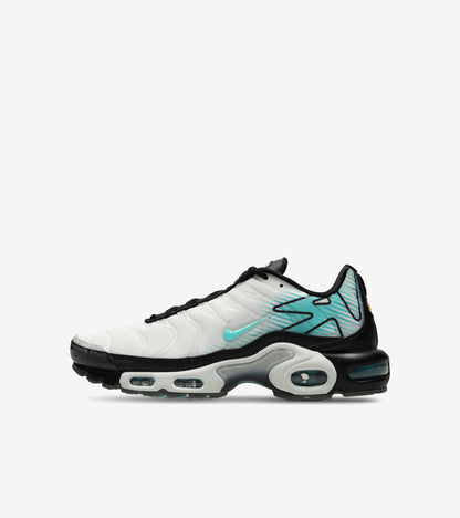 AAOO Air Max Plus Mercurial Vapor
