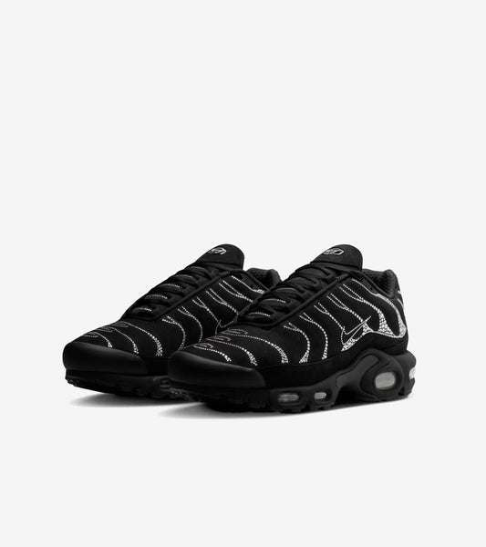 AAOO Air Max Plus Moonlight