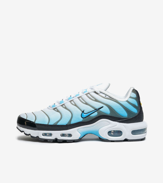 AAOO Air Max Plus Baltic Blue