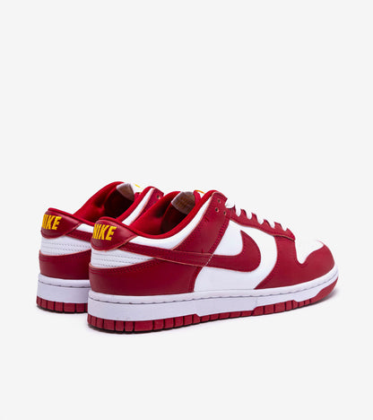 AAOO Dunk Low USC