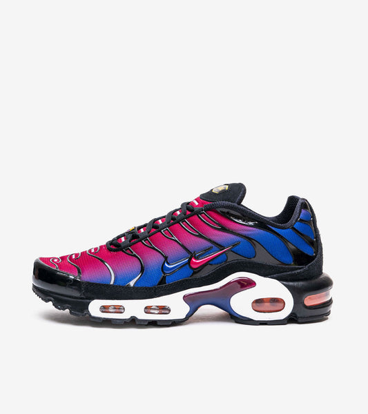 AAOO Air Max Plus