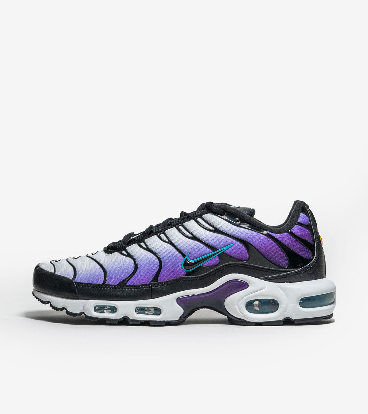 AAOO Air Max Plus Reverse Grape