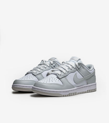 AAOO Dunk Low Grey Fog