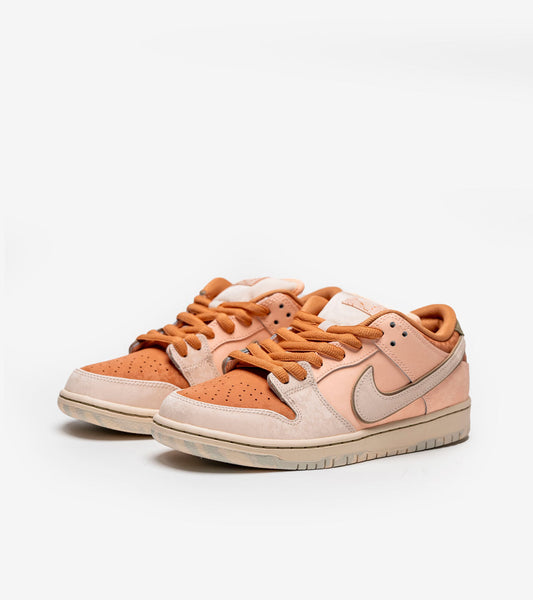 AAOO SB Dunk Low Trocadéro Gardens
