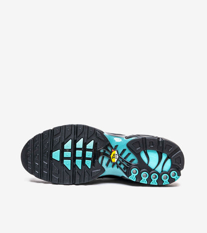 AAOO Air Max Plus Light Retro Blau