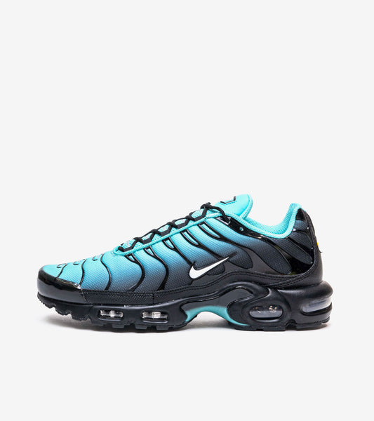 AAOO Air Max Plus Light Retro Blau