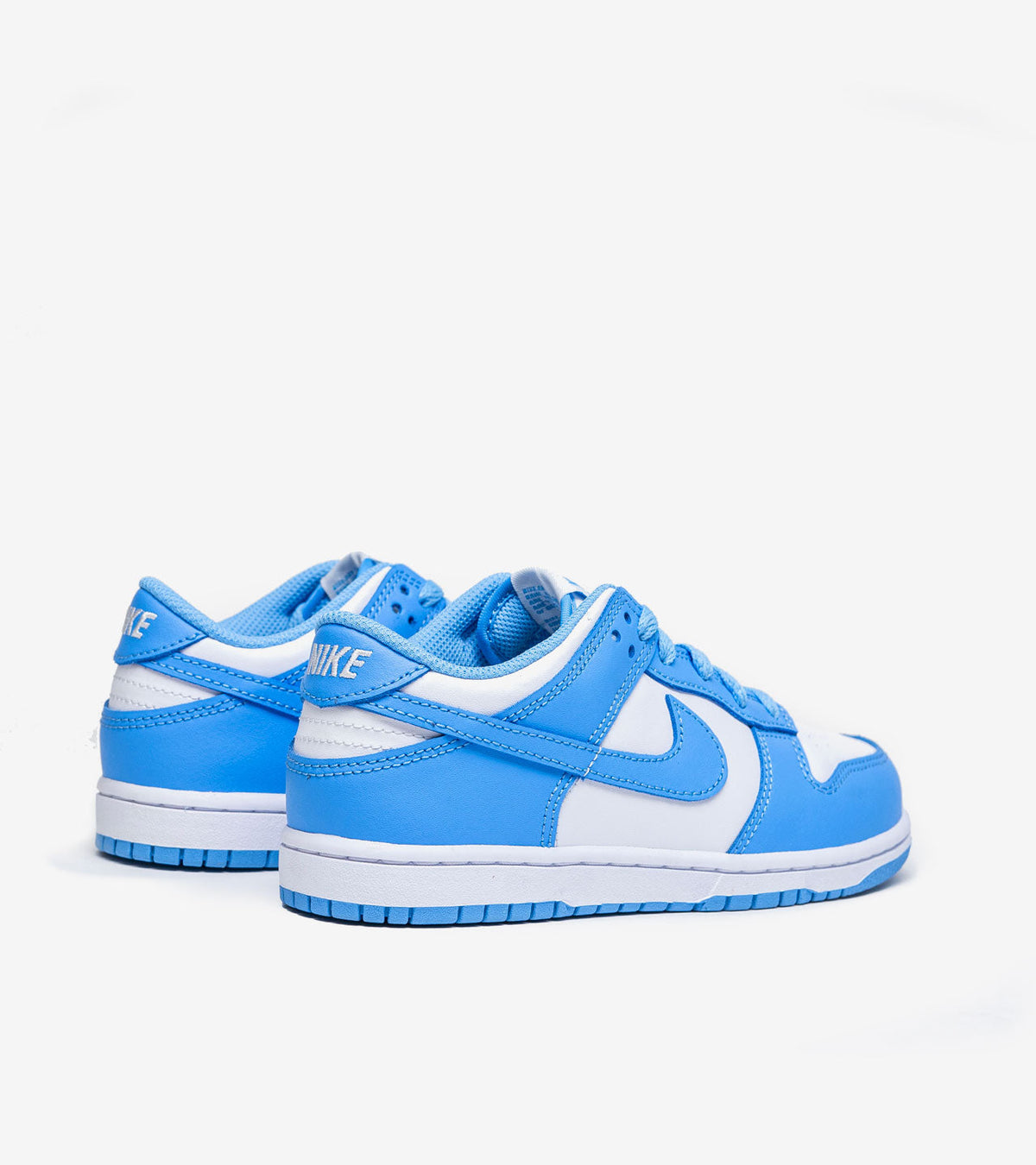 AAOO Dunk Low Polar Blue